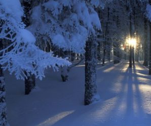 Красивые зимние фотографии: пейзажи
